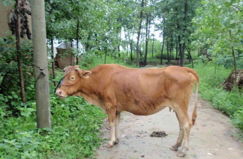 义乌最新求一个套医保卡的黄牛是真的吗方法分析(最方便真实的义乌求一个套医保卡的黄牛是真的吗还是假的方法)